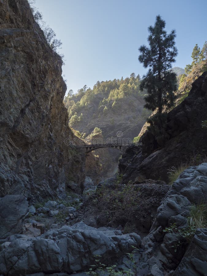 παλιά πέτρινη γέφυρα στο φαράγγι του barranco de las angustias στο πεζοδρόμιο caldera de taburiente la palma στοκ εικόνα