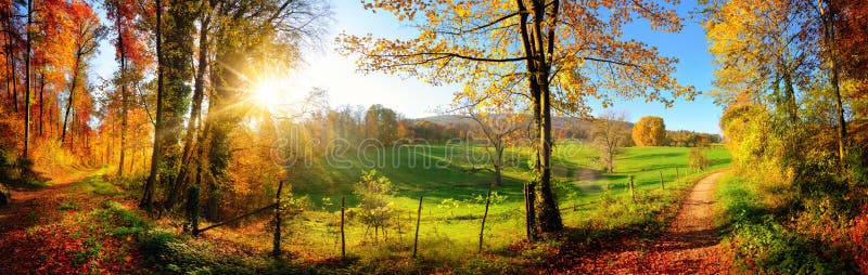 Gorgeous landscape panorama showing a meadow and a path leading into a forest, with autumn colors and blue sky. Gorgeous landscape panorama showing a meadow and a path leading into a forest, with autumn colors and blue sky