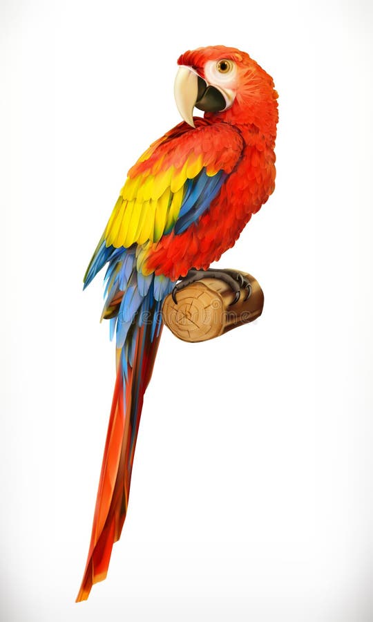 Παπαγάλος Ara macaw Φωτογραφία ρεαλιστική διανυσματική απεικόνιση