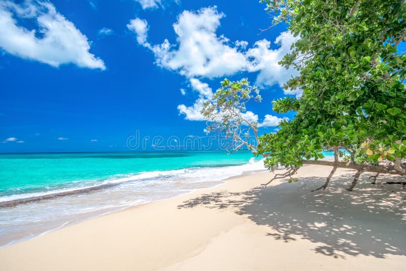 Paradise beach Playa Rincon, considered one of the 10 top beaches in Caribbean, Dominican Republic, near Las Galeras. Paradise beach Playa Rincon, considered one of the 10 top beaches in Caribbean, Dominican Republic, near Las Galeras