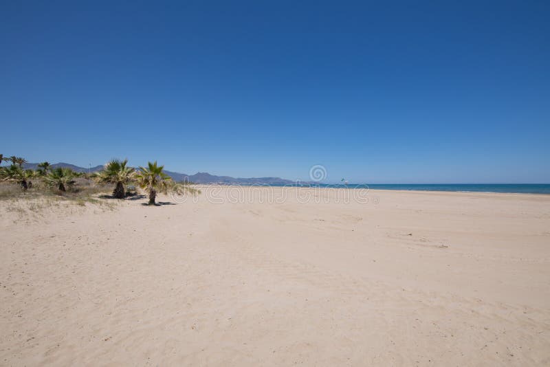 Παραλία πεύκων σε Grao Castellon στοκ φωτογραφία Παραλία πεύκων σε Grao Castellon στοκ φωτογραφία
