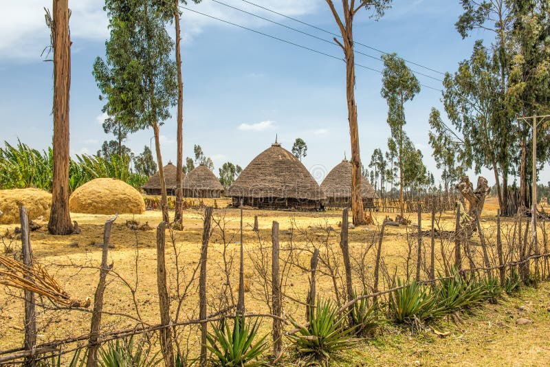 Traditional village houses near Addis Ababa, Ethiopia, Africa. Traditional village houses near Addis Ababa, Ethiopia, Africa