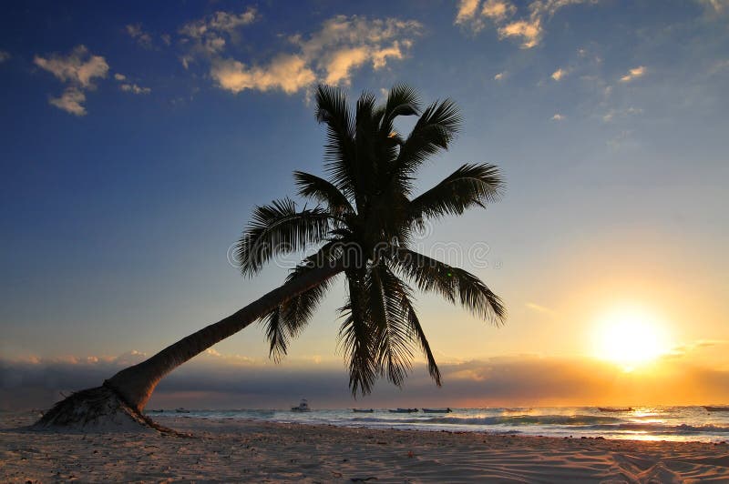 Παραλία Tulum σε Riviera Maya στο των Μάγια Μεξικό στοκ φωτογραφία με δικαίωμα ελεύθερης χρήσης Παραλία Tulum σε Riviera Maya στο των Μάγια Μεξικό στοκ φωτογραφία με δικαίωμα ελεύθερης χρήσης