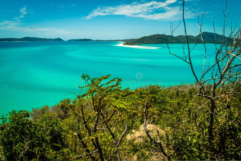 Παραλία Whitehaven στο Whitsundays, τον τυρκουάζ ωκεανό και τους φραγμούς άμμου στοκ εικόνες Παραλία Whitehaven στο Whitsundays, τον τυρκουάζ ωκεανό και τους φραγμούς άμμου στοκ εικόνες