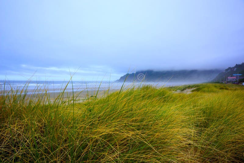 παραλία στην ακτή με πρωινή ομίχλη