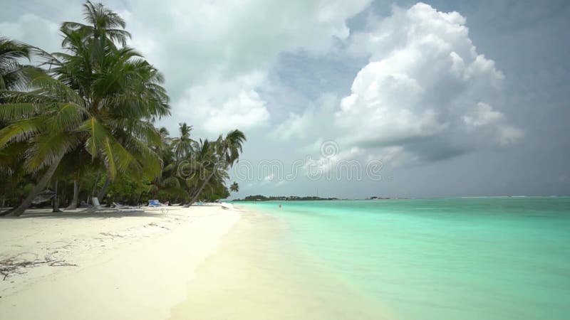 παραλία του νησιού μαλδίβων με φοίνικες
