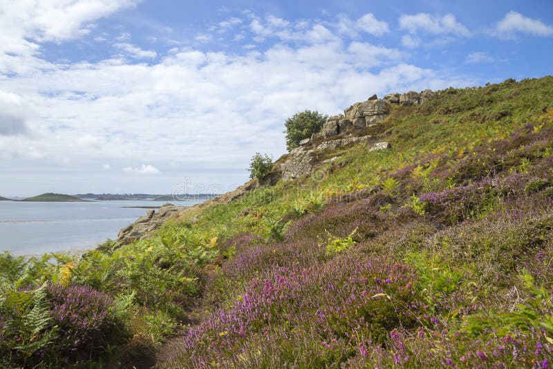 Chapel Down, St Martin's, Isles of Scilly, England. Chapel Down, St Martin's, Isles of Scilly, England.