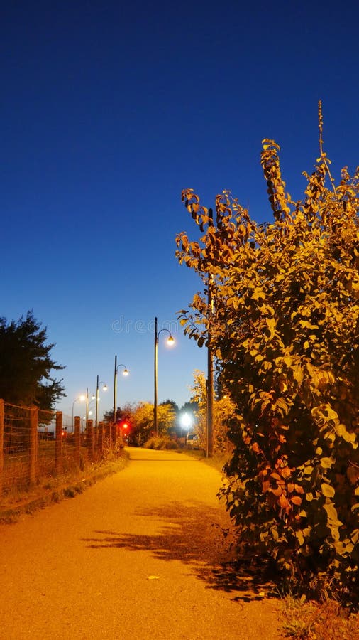 Παριζιάνικη οδός παρκσάιντ τη νύχτα με αντανάκλαση από το φως του δρόμου στοκ φωτογραφίες με δικαίωμα ελεύθερης χρήσης