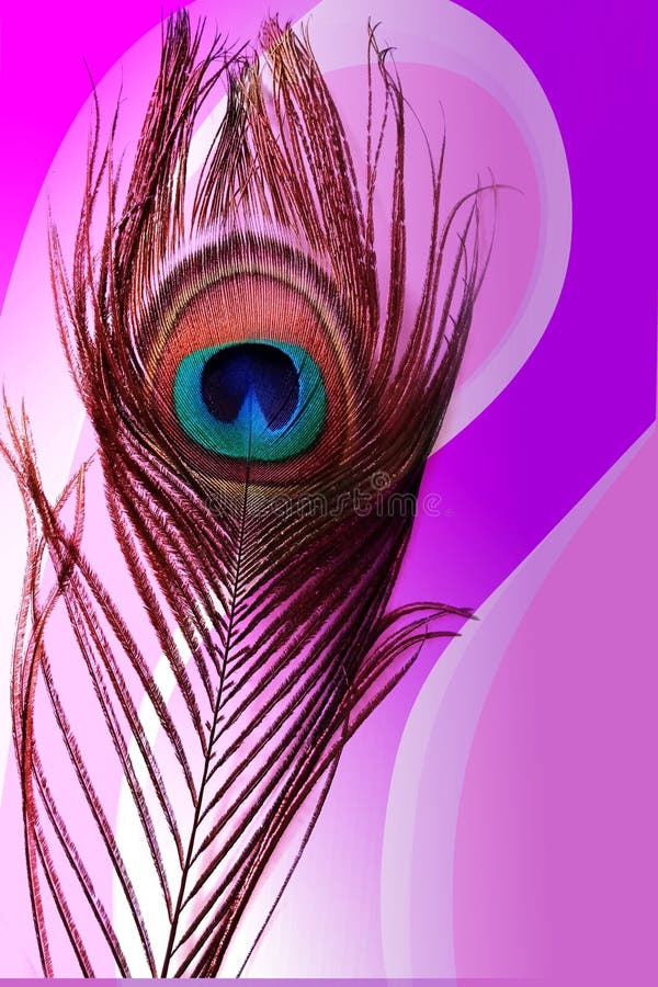 Πατέρας Peacock με το αφηρημένο ζωηρόχρωμο σκιασμένο υπόβαθρο επίσης corel σύρετε το διάνυσμα απεικόνισης διανυσματική απεικόνιση Πατέρας Peacock με το αφηρημένο ζωηρόχρωμο σκιασμένο υπόβαθρο επίσης corel σύρετε το διάνυσμα απεικόνισης διανυσματική απεικόνιση