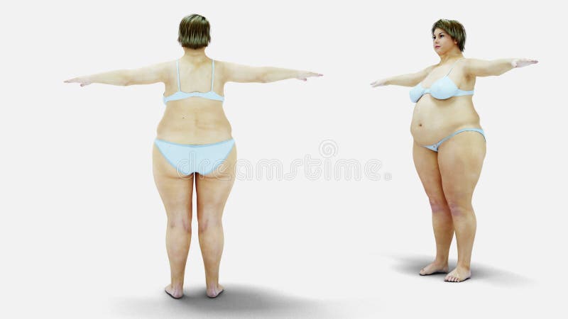 Παχιές γυναίκες Διαδικασία αδυνατίσματος και παχυσαρκίας υγεία σιτηρεσίου έννοιας απομονώστε Ρεαλιστική 4K ζωτικότητα