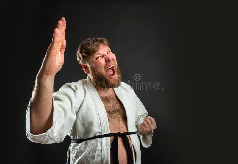 Παχύς karate μαχητής στοκ εικόνα με δικαίωμα ελεύθερης χρήσης