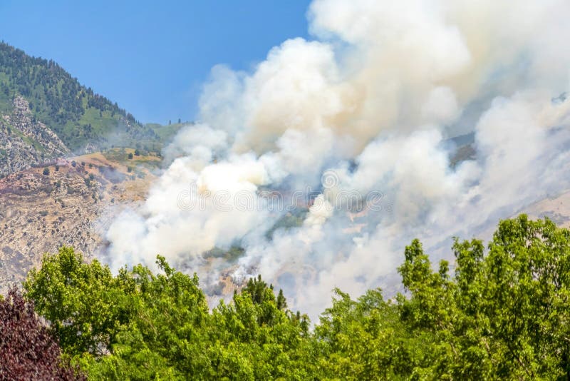 Παχύς καπνός από τις ορεινές πυρκαγιές με έντονα πράσινα φύλλα δέντρων σε μια ηλιόλουστη ημέρα στοκ εικόνα