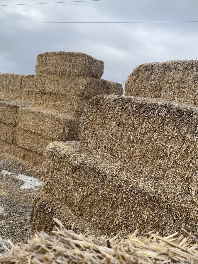 πεδίο Haystack στοκ εικόνα