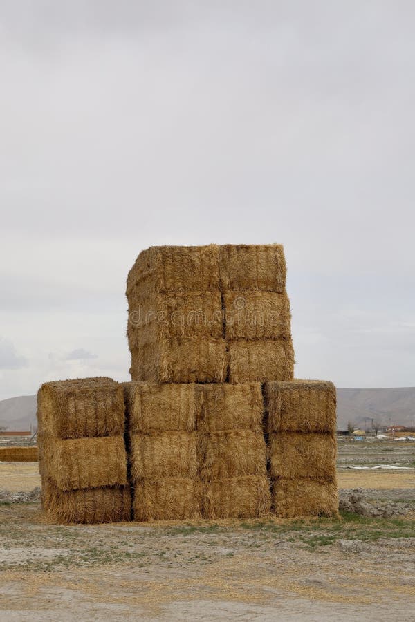 πεδίο Haystack στοκ φωτογραφία