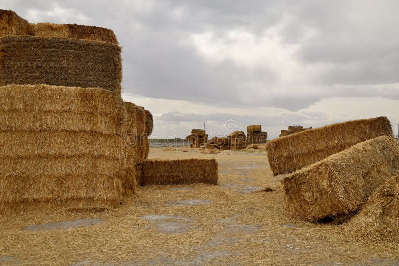 πεδίο Haystack στοκ φωτογραφίες με δικαίωμα ελεύθερης χρήσης