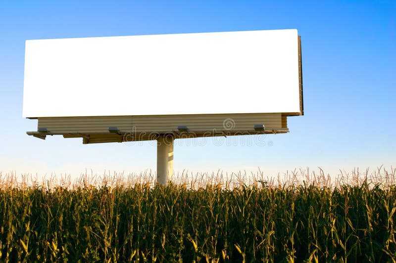 Field of Corn and a billboard in the early evening sun - the golden hour. Field of Corn and a billboard in the early evening sun - the golden hour.