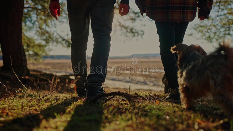 πεζοπορία. έννοια διαδρομής. δύο πεζοπόροι και κατοικίδιο σκυλί ένα περπάτημα με αθλητικά παπούτσια μέσα από το πάρκο