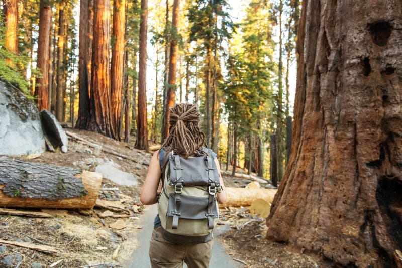 Πεζοπορία στο εθνικό πάρκο Sequoia στην Καλιφόρνια των ΗΠΑ στοκ εικόνες