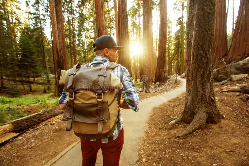 Πεζοπορία στο εθνικό πάρκο Sequoia στην Καλιφόρνια των ΗΠΑ στοκ φωτογραφία με δικαίωμα ελεύθερης χρήσης