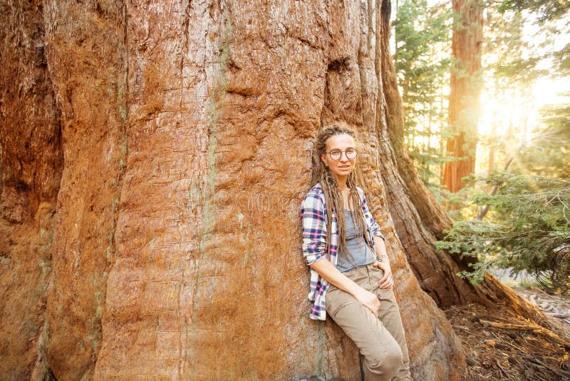Πεζοπορία στο εθνικό πάρκο Sequoia στην Καλιφόρνια των ΗΠΑ στοκ εικόνες