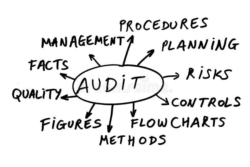 Some possible topics about carrying out an audit. Some possible topics about carrying out an audit