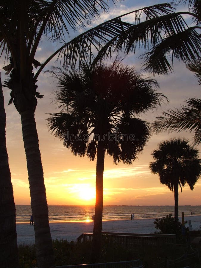 People walking along the beach surrounded by the sillouette of palm trees. People walking along the beach surrounded by the sillouette of palm trees