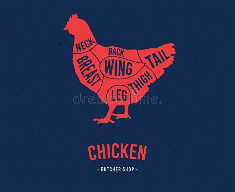 Diagrams for butcher shop. Scheme of chicken. Vector illustration. Diagrams for butcher shop. Scheme of chicken. Vector illustration.