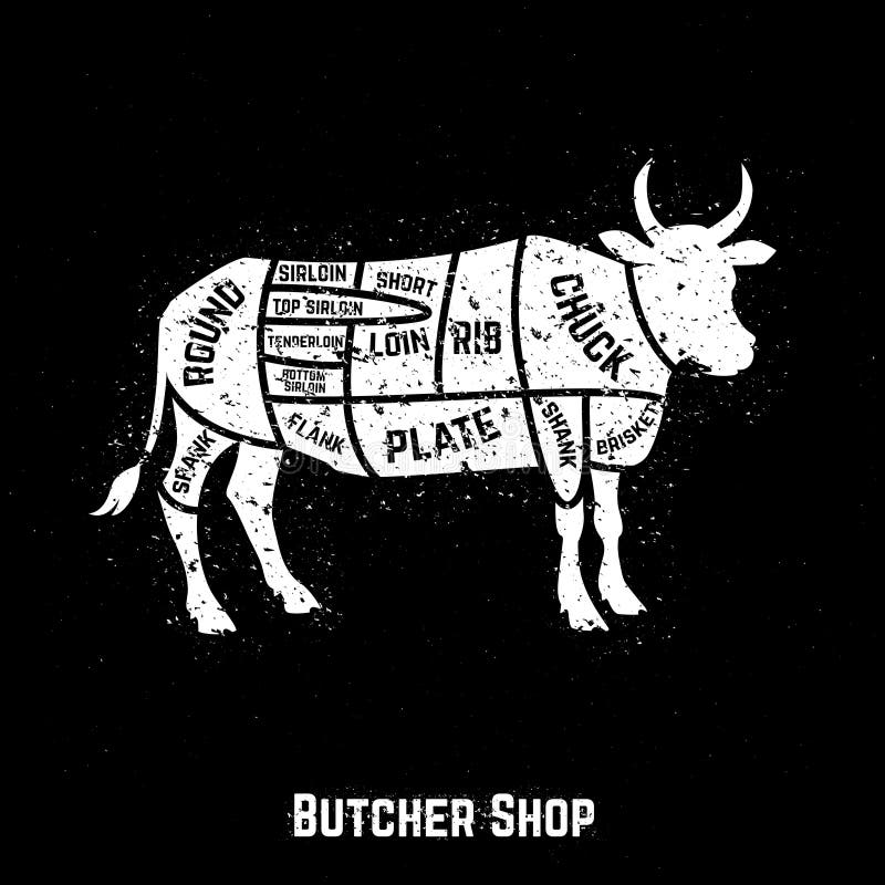 Butcher shop cuts of beef . Vector illustration. Butcher shop cuts of beef . Vector illustration