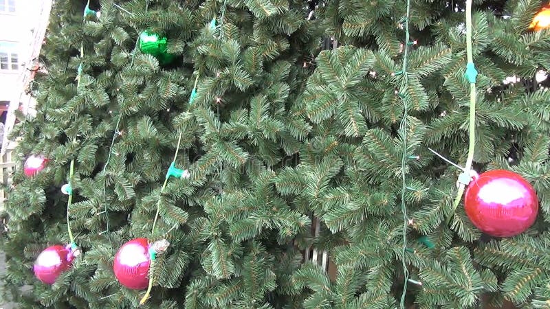 Περιποίηση χριστουγεννιάτικων δέντρων