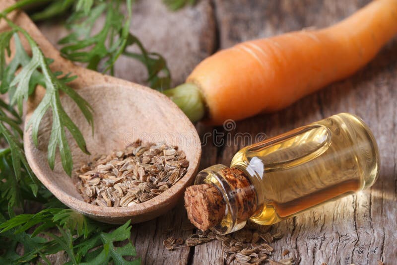 The essential oil of carrot seeds in a glass bottle closeup horizontal. top view. The essential oil of carrot seeds in a glass bottle closeup horizontal. top view