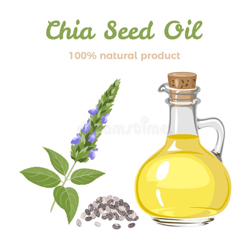 Chia seed oil in a glass bottle, branch of flowering green plant and heap of seeds isolated on white background. Vector illustration of healthy product in cartoon simple flat style. Chia seed oil in a glass bottle, branch of flowering green plant and heap of seeds isolated on white background. Vector illustration of healthy product in cartoon simple flat style.