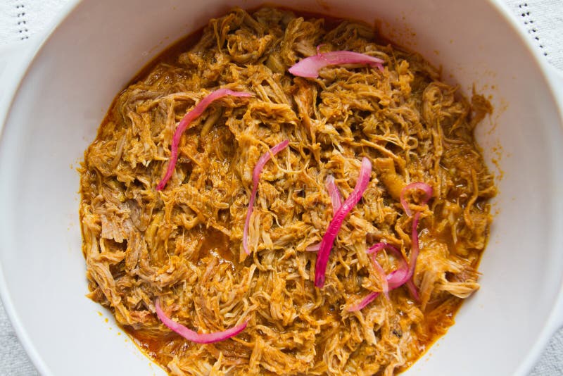 Πιάτο Pibil Cochinita με το πορφυρό κρεμμύδι στοκ φωτογραφία με δικαίωμα ελεύθερης χρήσης