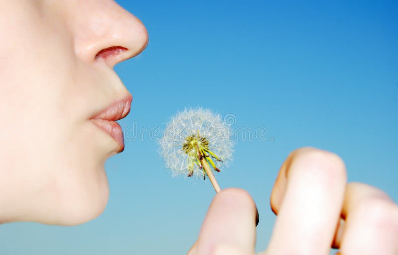 The girl going to to blow at a dandelion (on a background of the blue sky). The girl going to to blow at a dandelion (on a background of the blue sky)