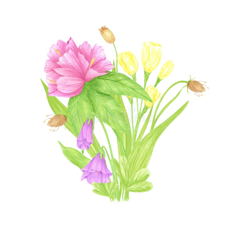 Πλωτό χρώμα αζαλέα lisianthus anemone bouquet. Άνθος του αγρού απομονωμένο σε λευκό φόντο. Μπορεί να χρησιμοποιηθεί για διανυσματική απεικόνιση