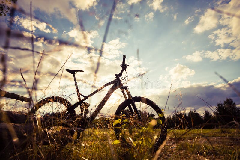 Ποδήλατο MTB βουνών στο πράσινο θερινό δασικό ίχνος, εμπνευσμένο Λα στοκ εικόνα με δικαίωμα ελεύθερης χρήσης Ποδήλατο MTB βουνών στο πράσινο θερινό δασικό ίχνος, εμπνευσμένο Λα στοκ εικόνα με δικαίωμα ελεύθερης χρήσης