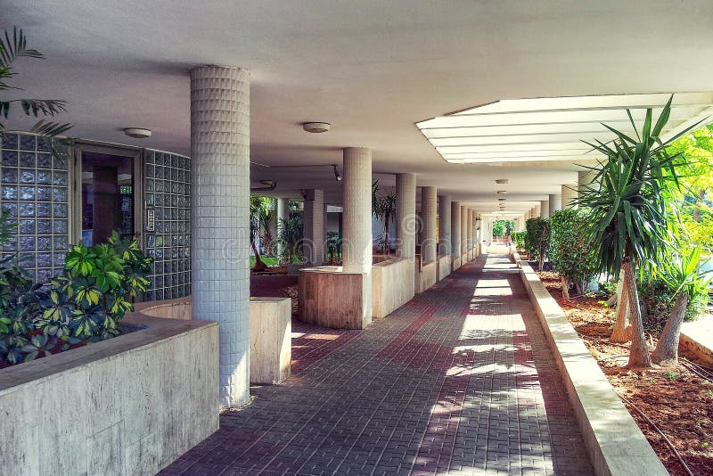 Rishon LeZion, Israel-April 26, 2015: The long walking passage under sun-awning and floored with paving gray and red breaks. The side of the entrances has supporting pillars of white facing tiles and some flower beds with green plants. The opposite side has decorative trees and bushes planted in brown soil between the separation curbs. Rishon LeZion, Israel-April 26, 2015: The long walking passage under sun-awning and floored with paving gray and red breaks. The side of the entrances has supporting pillars of white facing tiles and some flower beds with green plants. The opposite side has decorative trees and bushes planted in brown soil between the separation curbs.