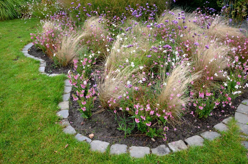 Perennial beds with ornamental grasses and pink perennials. the edge of the flowerbed into arches and ripples. park staircase made of stone near flowers. Perennial beds with ornamental grasses and pink perennials. the edge of the flowerbed into arches and ripples. park staircase made of stone near flowers.