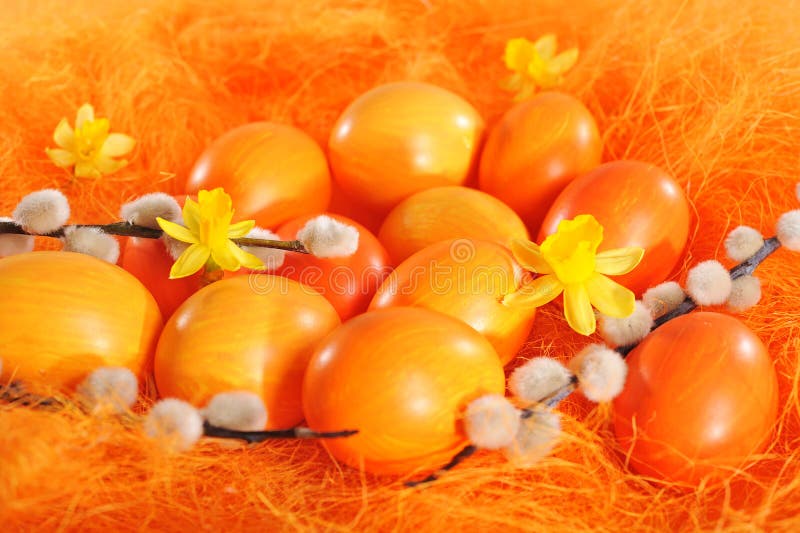 πορτοκάλι αυγών Πάσχας