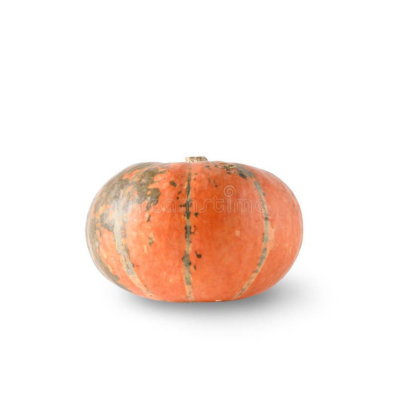 One orange Pumpkin for Halloween isolated on white background. One orange Pumpkin for Halloween isolated on white background.