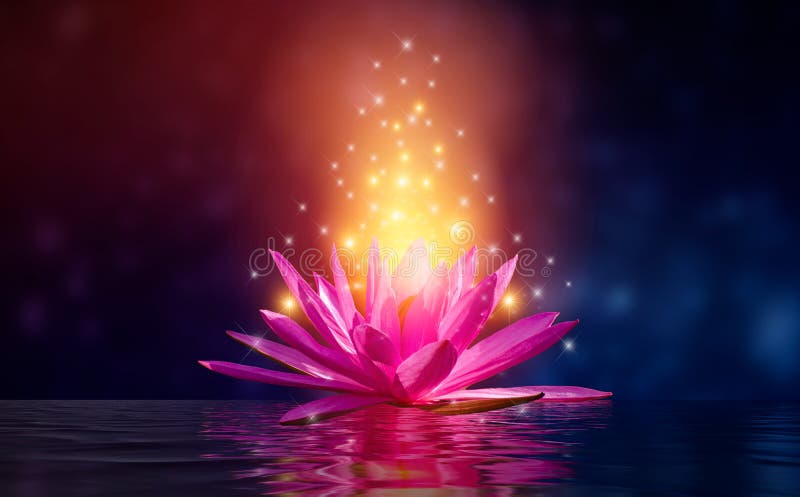 Πορφυρό υπόβαθρο σπινθηρίσματος Lotus ρόδινο ανοικτό μωβ επιπλέον ελαφρύ στοκ εικόνες με δικαίωμα ελεύθερης χρήσης