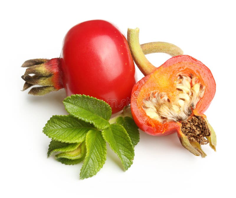 Rose hip isolated on white background. Rose hip isolated on white background.