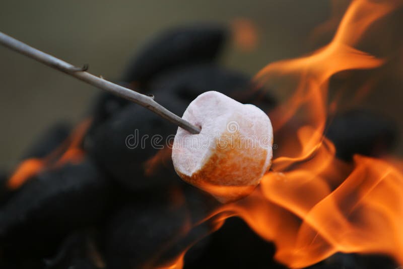 που ψήνεται marshmallow πυρκαγιάς