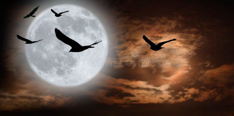 A surreal moonscape with flying birds. A surreal moonscape with flying birds