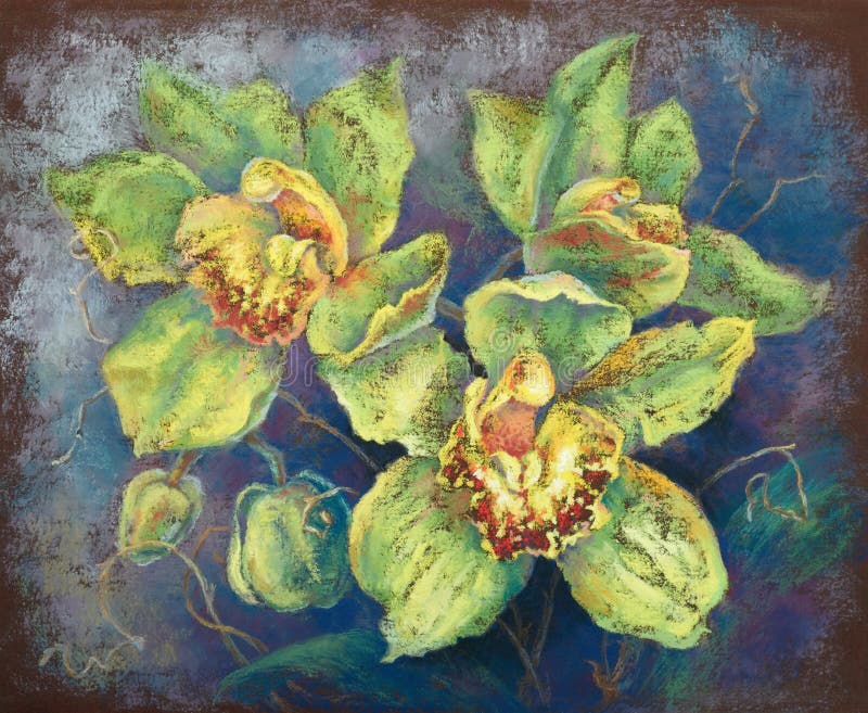 Πράσινα orchids (συρμένη χέρι κρητιδογραφία που χρωματίζει) στοκ φωτογραφία με δικαίωμα ελεύθερης χρήσης