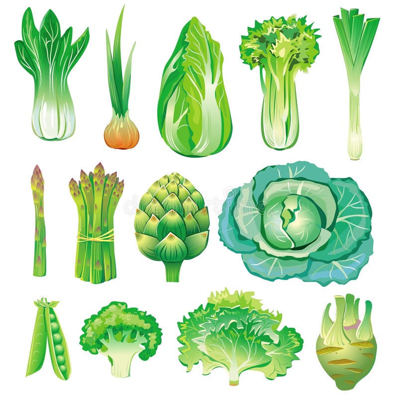 Set with green vegetables and herbs. Set with green vegetables and herbs