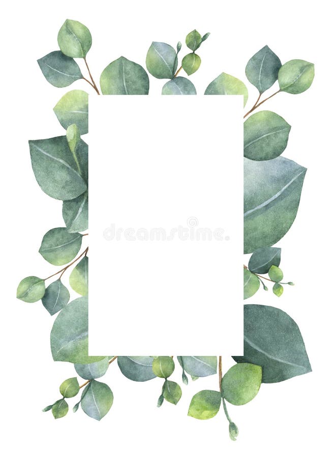 Πράσινη floral κάρτα Watercolor με τα ασημένιους φύλλα και τους κλάδους ευκαλύπτων δολαρίων που απομονώνονται στο άσπρο υπόβαθρο ελεύθερη απεικόνιση δικαιώματος