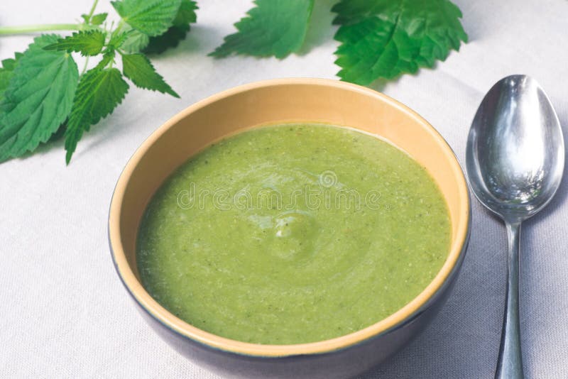 Πράσινη nettle σούπα στο κύπελλο στοκ φωτογραφίες με δικαίωμα ελεύθερης χρήσης Πράσινη nettle σούπα στο κύπελλο στοκ φωτογραφίες με δικαίωμα ελεύθερης χρήσης