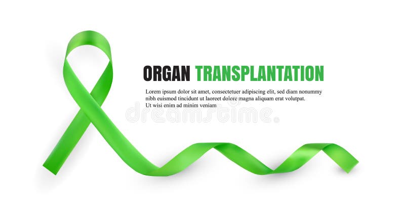 Green Organ Donation Awareness Symbolic Satin Ribbon Isolated on White Background with Place for Text. Realistic 3d Vector Illustration. Green Organ Donation Awareness Symbolic Satin Ribbon Isolated on White Background with Place for Text. Realistic 3d Vector Illustration