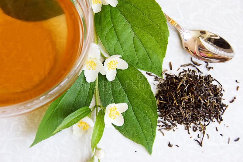 πράσινο jasmine τσάι στοκ εικόνες με δικαίωμα ελεύθερης χρήσης πράσινο jasmine τσάι στοκ εικόνες με δικαίωμα ελεύθερης χρήσης
