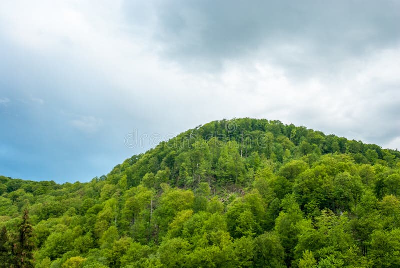 Green mountain on a background cloudy sky. Green hill. Mountain forest green. Green mountain on a background cloudy sky. Green hill. Mountain forest green